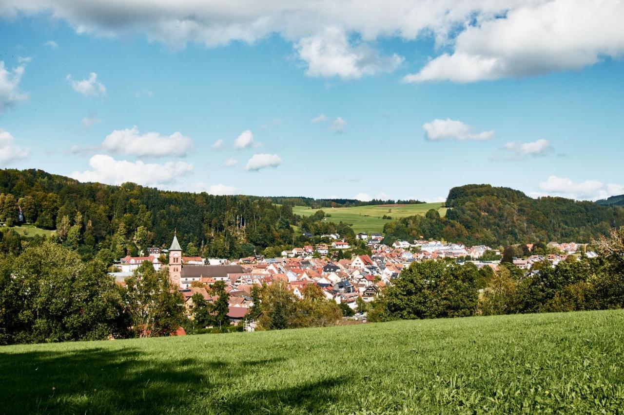 Naturferienwohnung Weitsicht Elzach Exterior foto